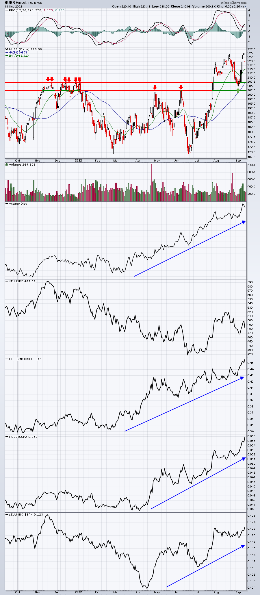 This Technology Leader Is Bucking The Bearish Trend